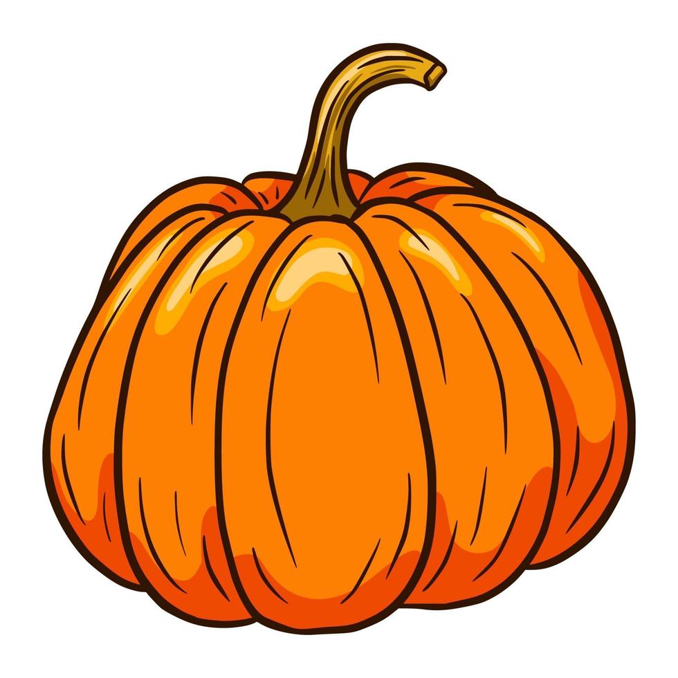 estilo de dibujos animados de ilustración de calabaza de invierno vector