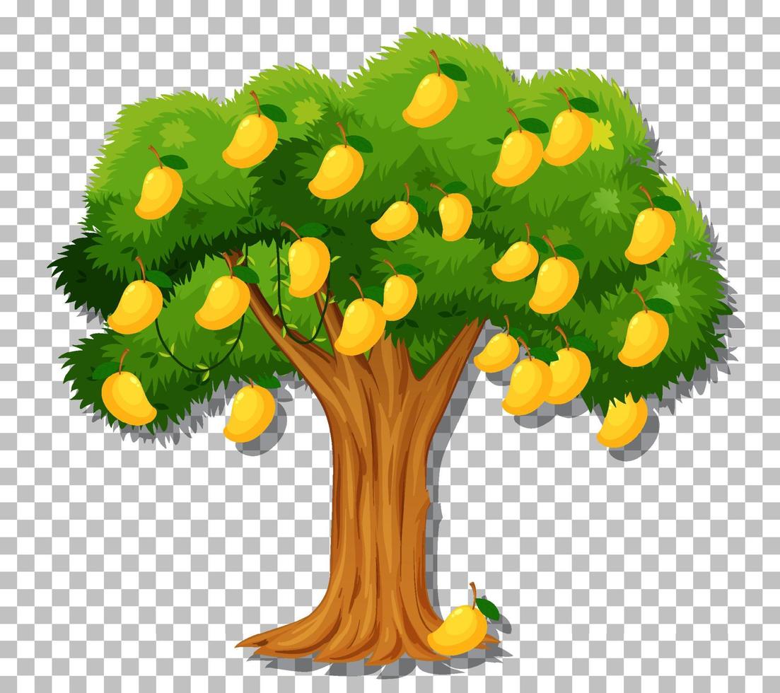 árbol de mango en el fondo de la cuadrícula vector