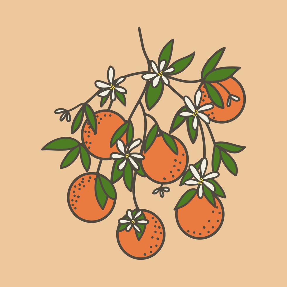 Ilustración de fruta naranja. Ilustración de vector de fruta naranja madura.