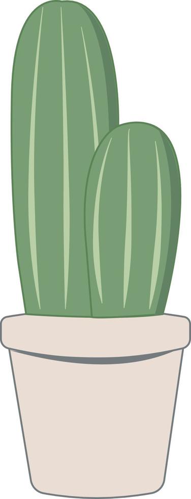 cactus flat design organic illustration vector