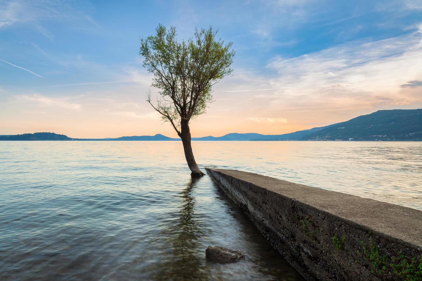 único árbol con reflejo en el lago al atardecer foto