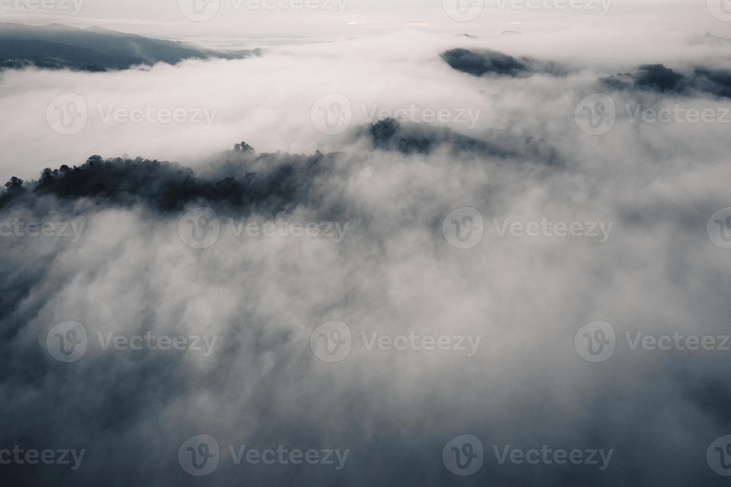 Un alto ángulo de vista del bosque y la niebla de la mañana. foto