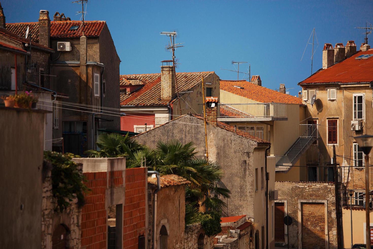 Town houses covered with tiled roofs photo