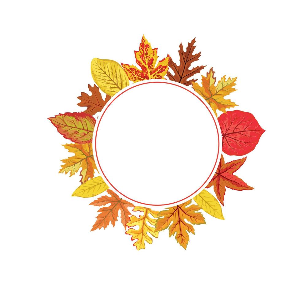 Vector Autumn Leaves Frame with white space vector