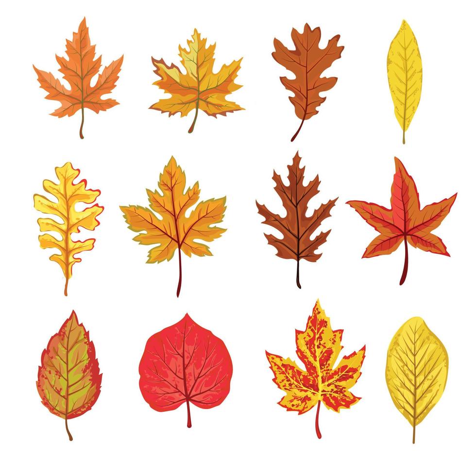 una colección de hojas de otoño caídas de diferentes formas y colores vector