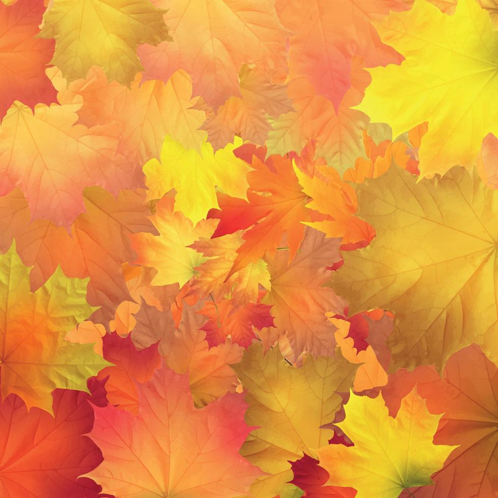 Red, orange, brown and yellow autumn leaves. Vector