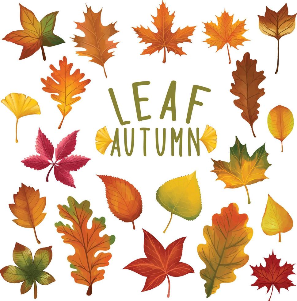 Set of watercolor painted Leaf, Autumn leaves clipart. Hand drawn isolated on white background vector