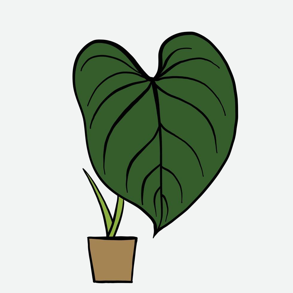 simplicidad philodendron gloriosum houseplant simplicidad dibujo a mano alzada diseño plano. vector