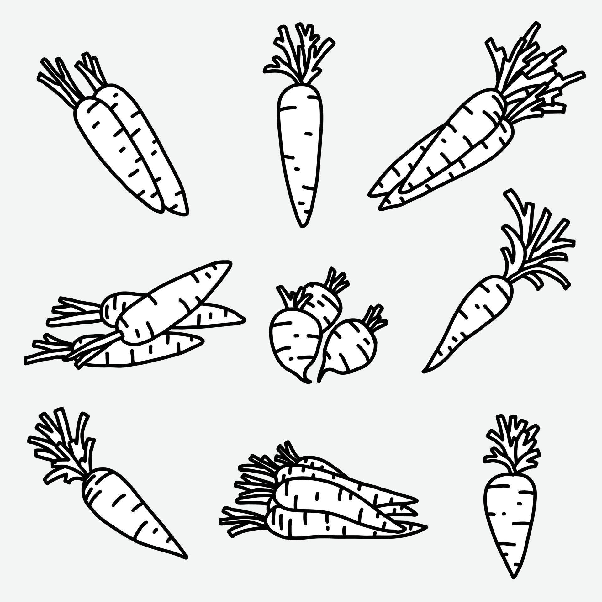 Doodle freehand sketch drawing of carrot vegetable collection. 3589284