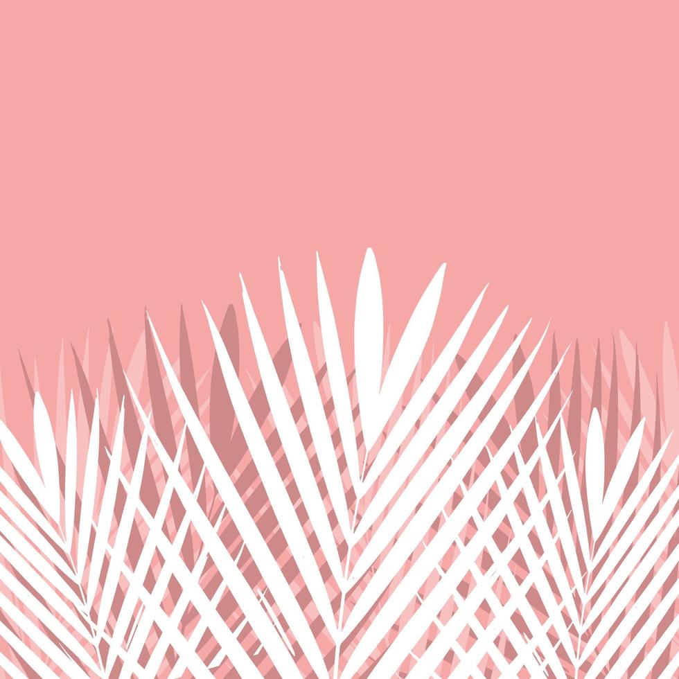 hoja de palmera tropical sobre fondo rosa. vector