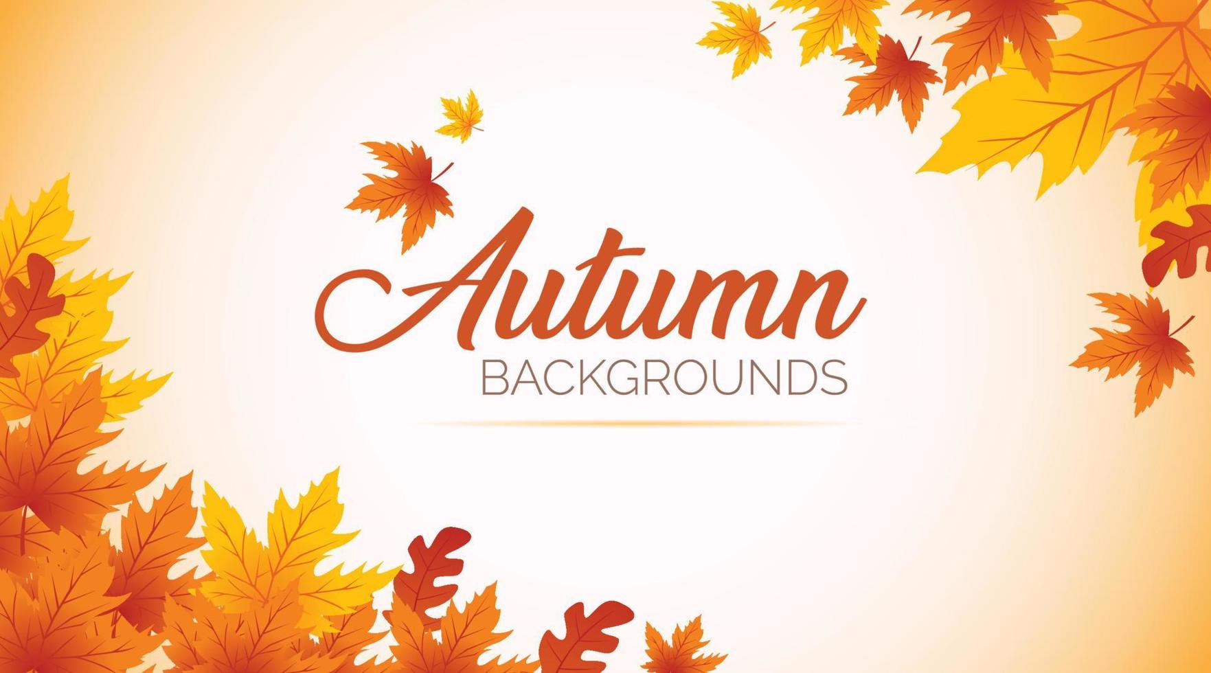 Autumn Background, Autumn leaves Background, Autumn Banner Backgrounds vector