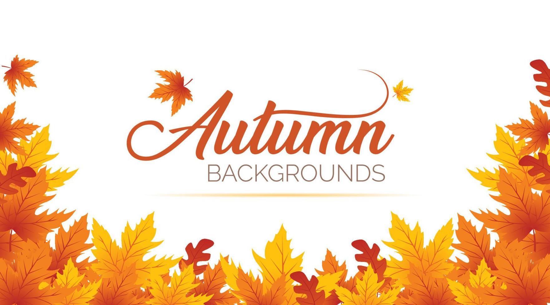 Autumn Background, Autumn leaves Background, Autumn Banner Backgrounds vector