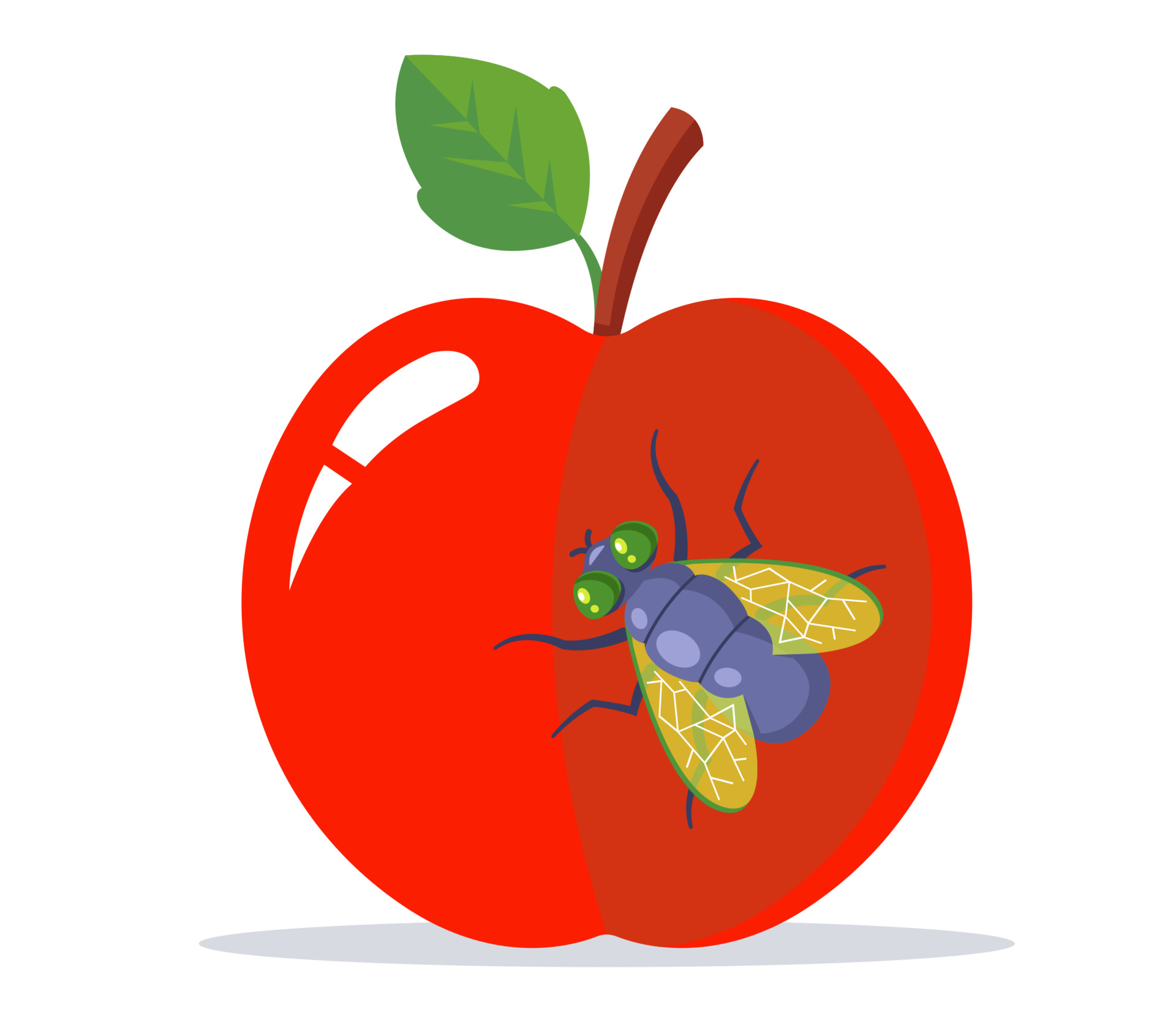 a big fly sits on a red apple. flat vector illustration. 3591013 Vector Art  at Vecteezy