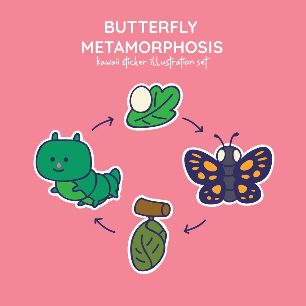 Cute and Kawaii Butterfly Metamorphosis Sticker Illustration Set from egg, caterpillar, chrysalis in to butterfly vector