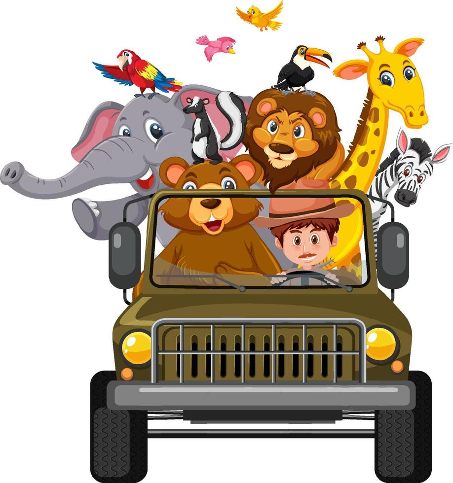Zoo concept with wild animals in the car isolated on white background vector