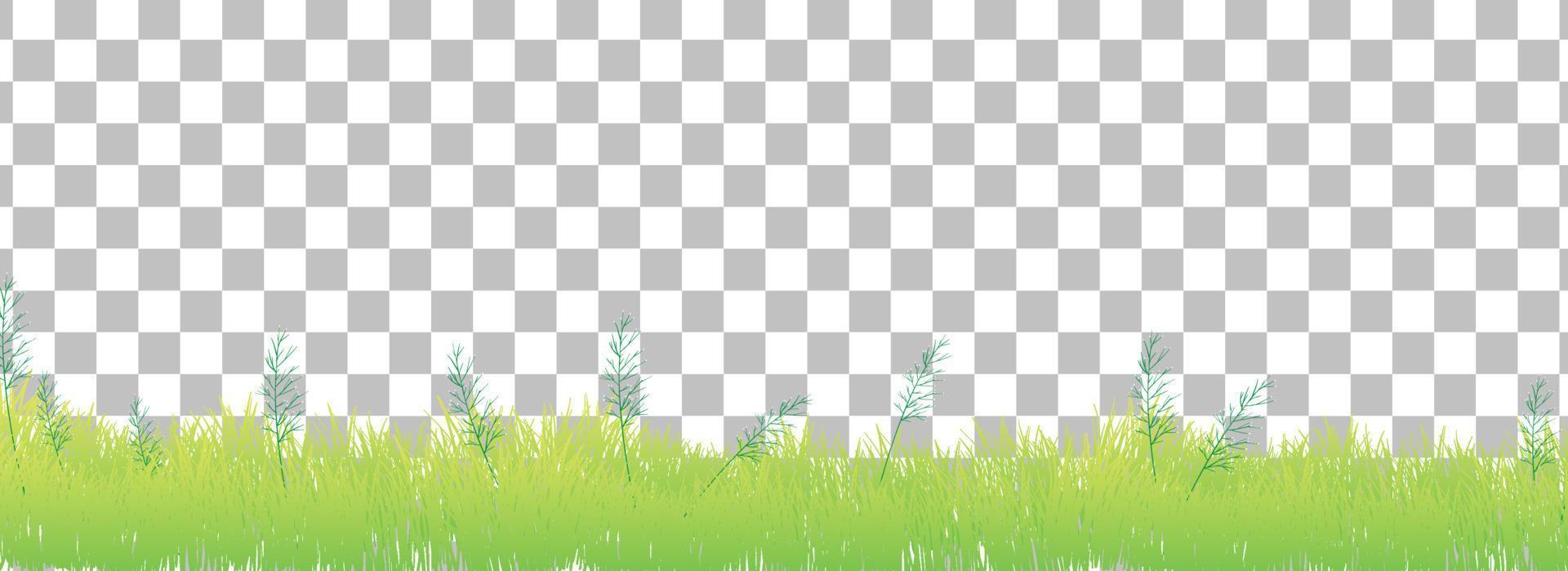 hierba verde sobre fondo de cuadrícula vector