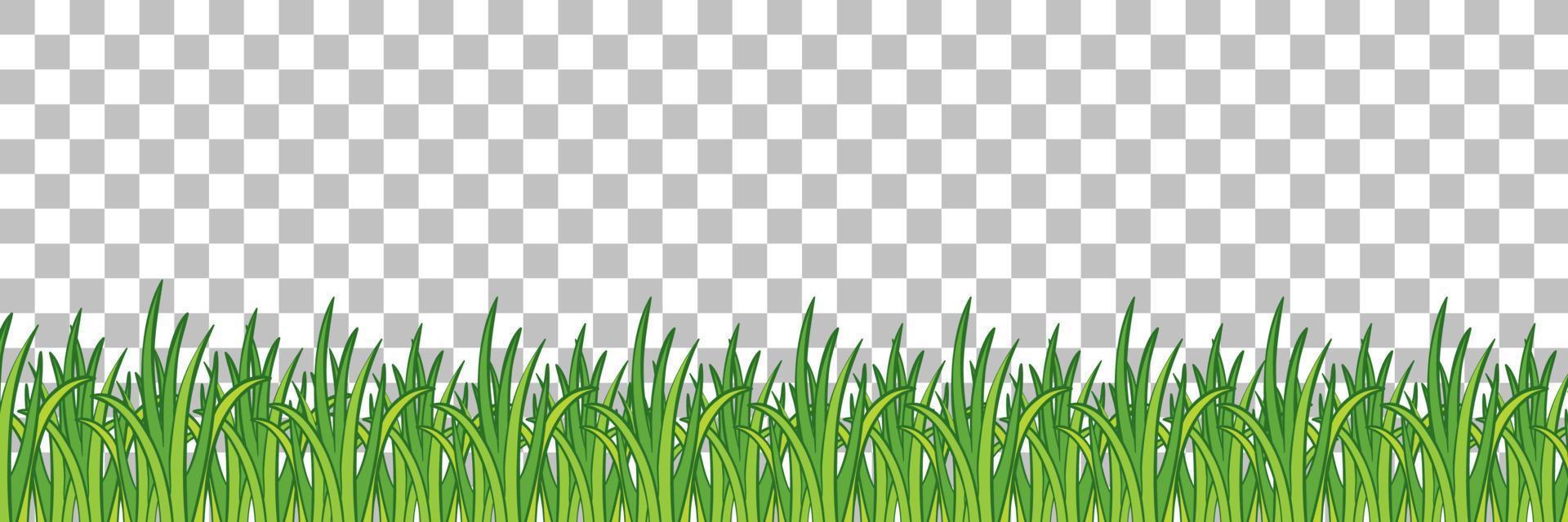 Grass and plants on grid background for decor vector