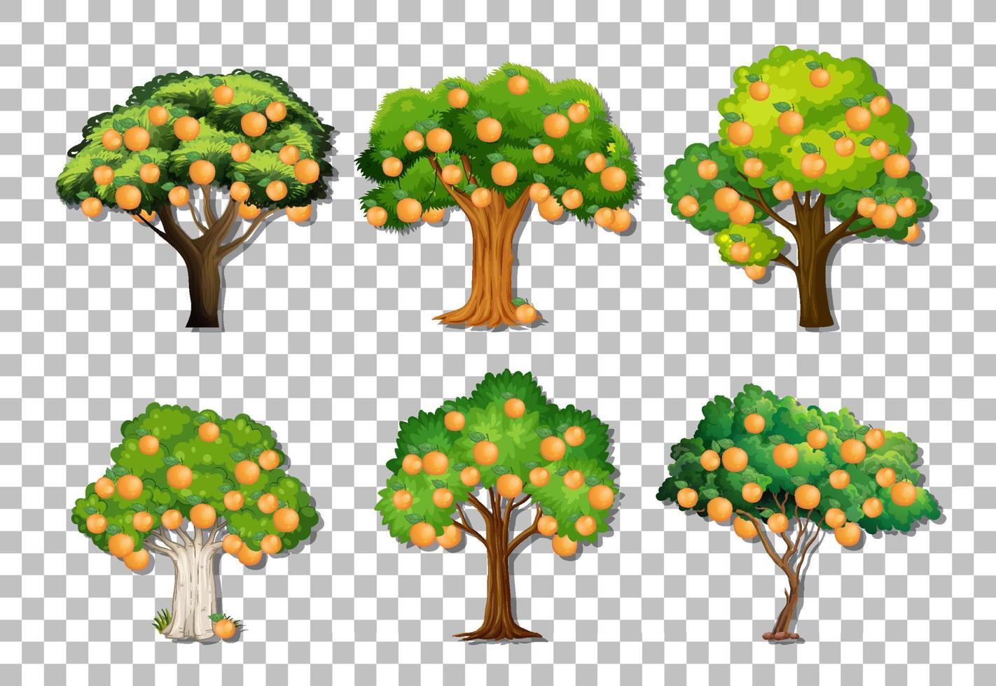 Set of variety orange trees on grid background vector