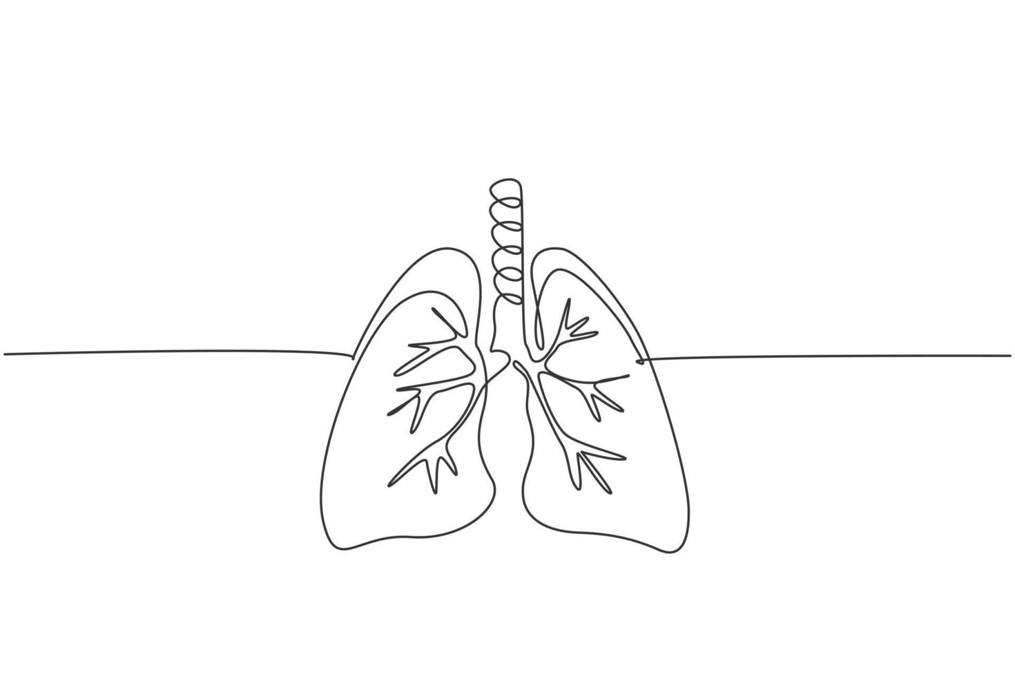 One continuous line drawing of anatomical human lungs organ. Dynamic medical internal anatomy concept. Single line draw graphic design vector illustration