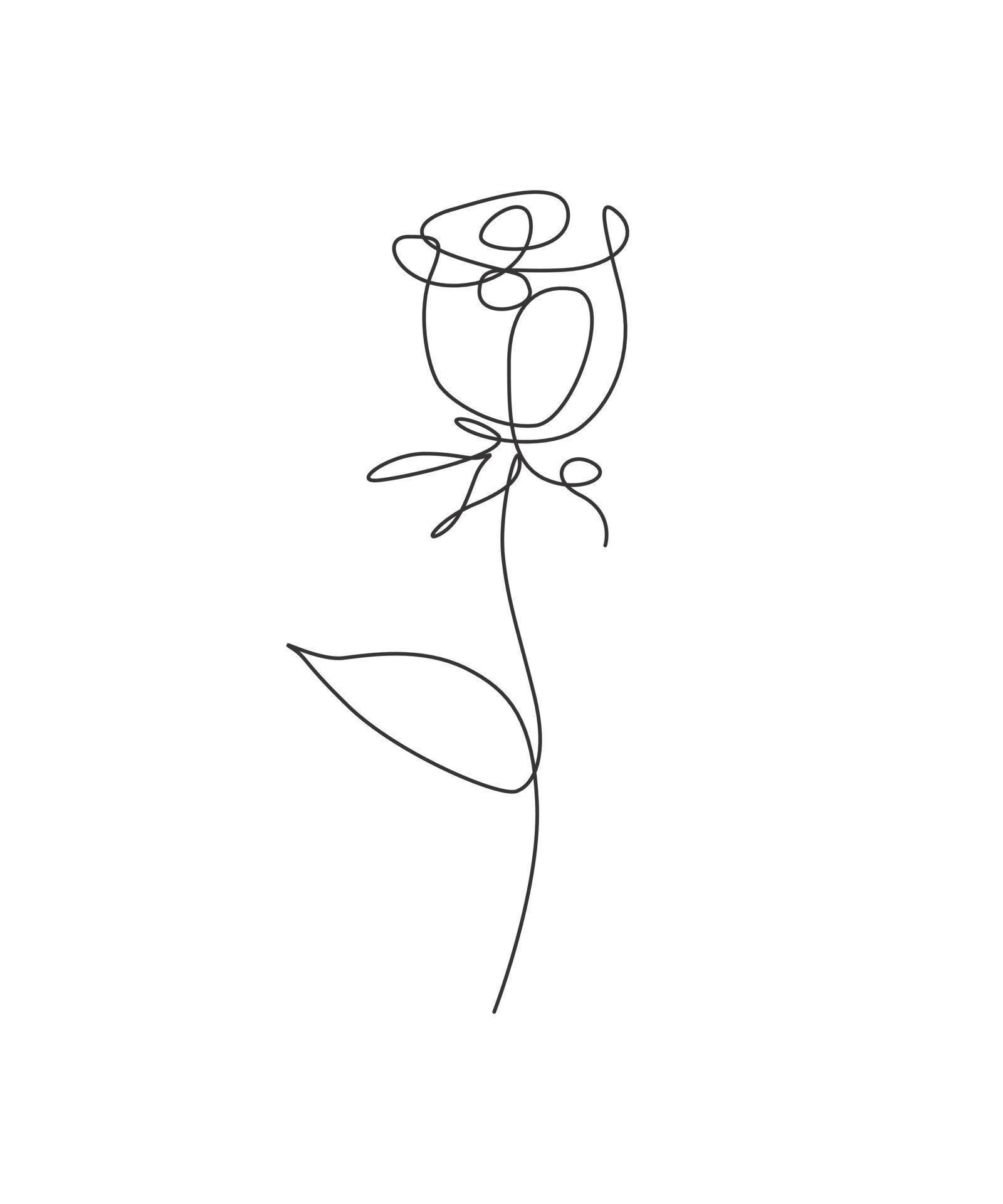 Single continuous line drawing minimalist beauty red rose flower ...