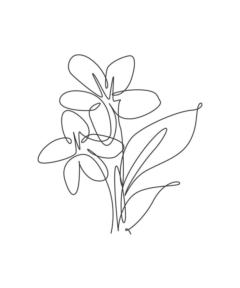 Una sola línea de dibujo ilustración de vector de flor de jazmín de belleza. estilo floral tropical mínimo, concepto romántico de amor para póster, impresión de decoración de pared. diseño de dibujo gráfico de línea continua moderna