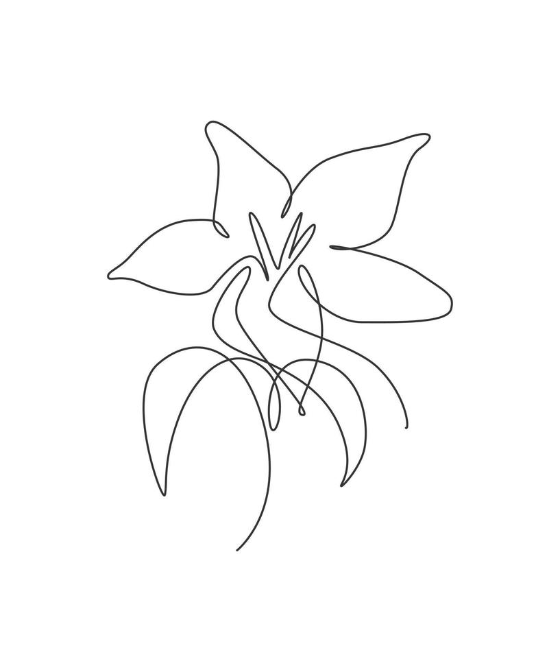 One continuous line drawing beautiful abstract orchid flower. Minimal fresh beauty natural concept. Home wall decor, poster, tote bag, fabric print. Single line draw design graphic vector illustration