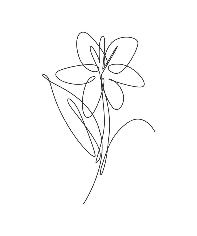 One continuous line drawing beautiful abstract lily flower. Minimal fresh beauty natural concept. Home wall decor, poster, tote bag, fabric print. Single line draw design graphic vector illustration