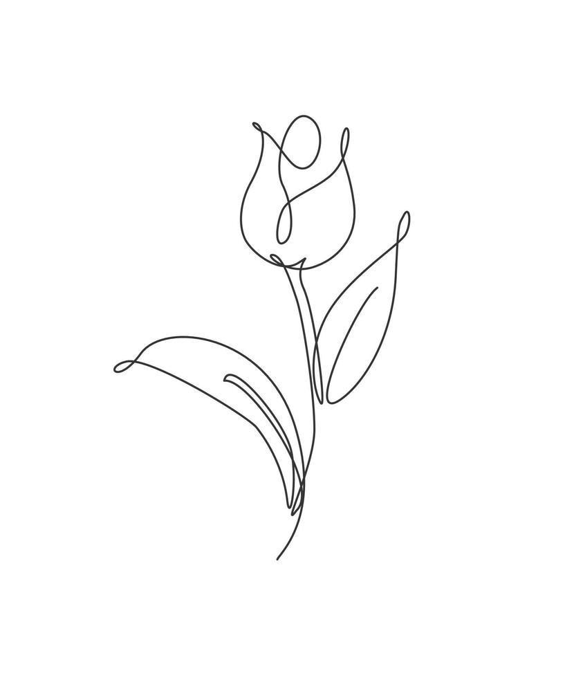 Una sola línea de dibujo ilustración de vector de flor de tulipán fresco de belleza. estilo floral tropical mínimo, concepto romántico de amor para póster, impresión de decoración de pared. diseño de dibujo gráfico de línea continua moderna