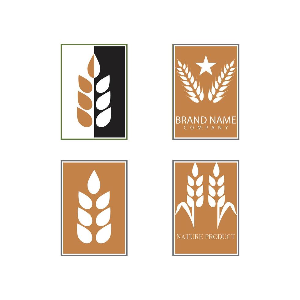 Agriculture wheat vector icon design