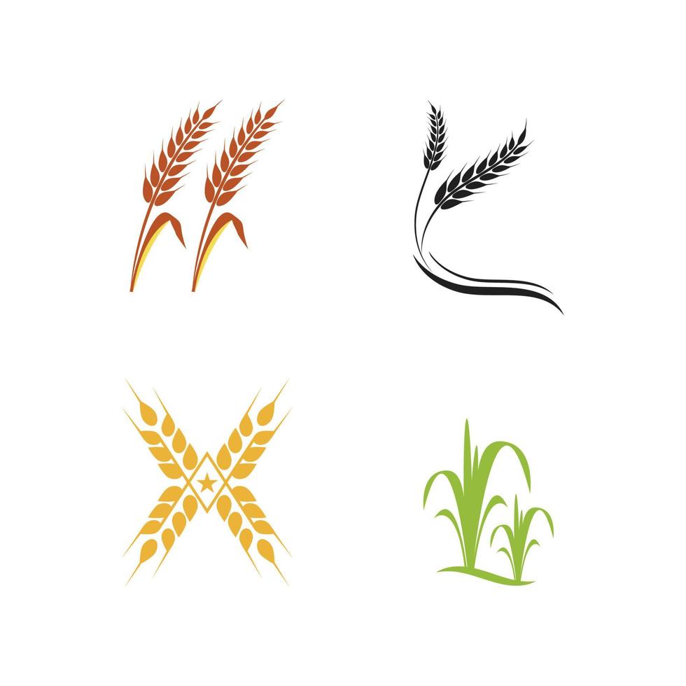 diseño de icono de vector de trigo de agricultura