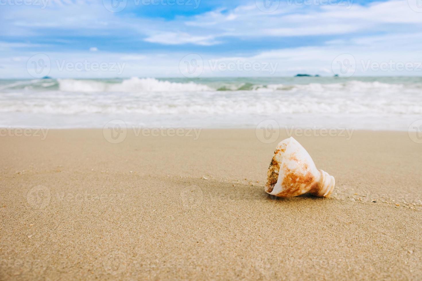 Plastic garbage on the beach.Mismanaged waste of plastic is the most serious source of pollution in the ocean. Picture with copy space and for earth day concept. photo