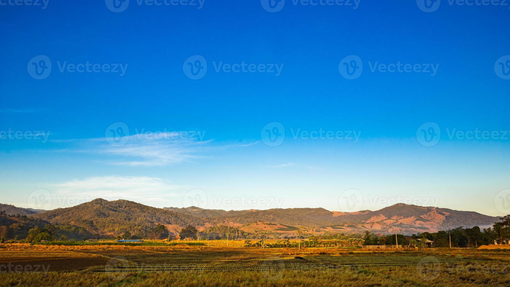 Thailand rice field with blue sky and white cloud photo