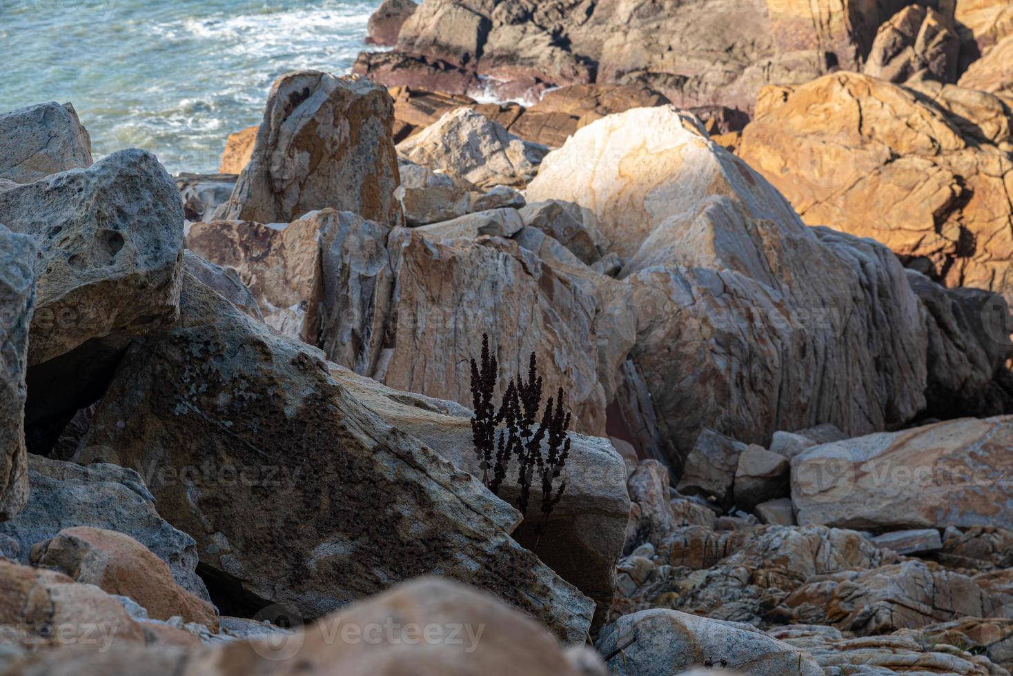 piedras de diversas formas erosionadas por el mar bajo el cielo azul foto