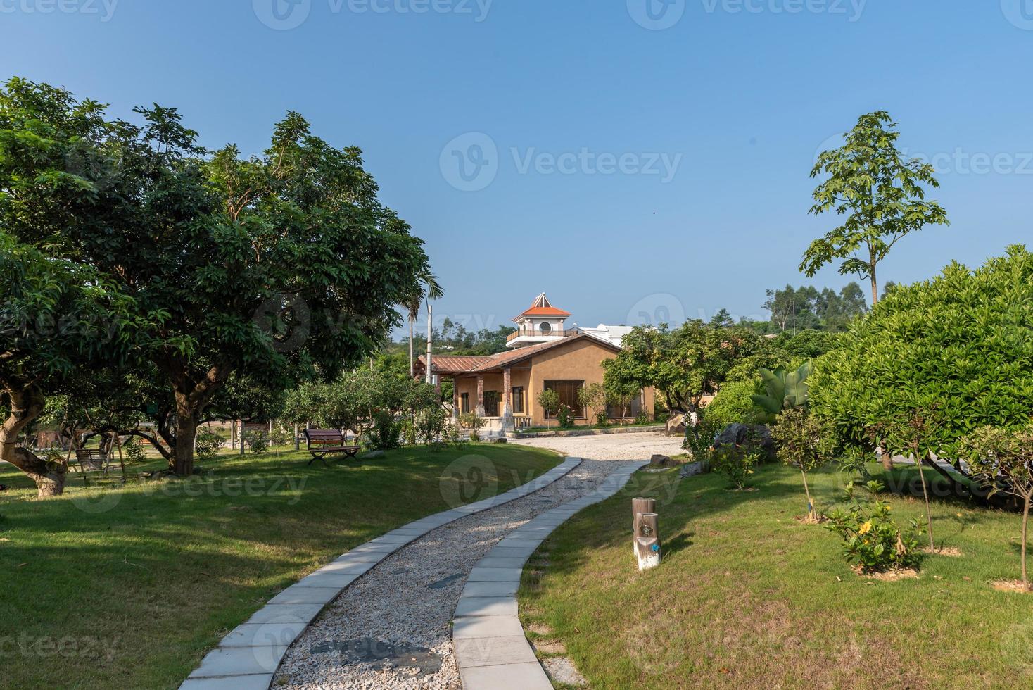 The walking path in the park is surrounded by trees photo