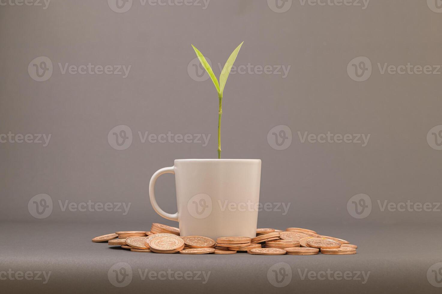 A plant sprouting from a cup of coins photo