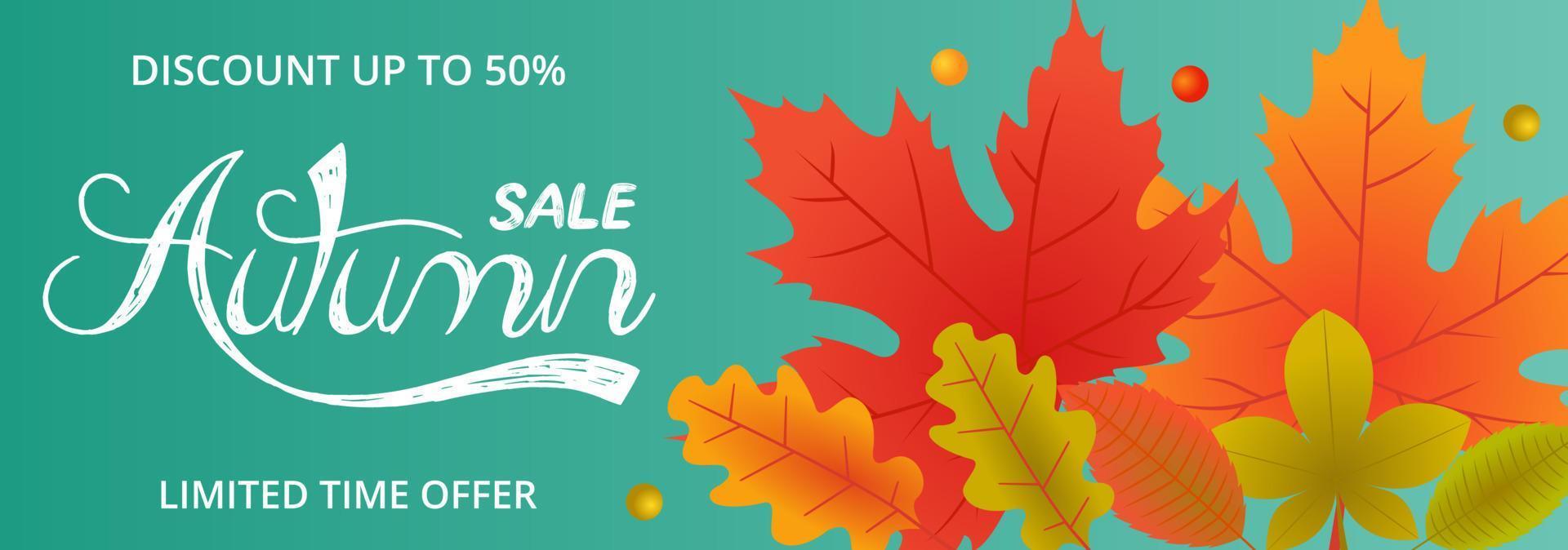 Autumn sale banner with fallen autumn leaves vector