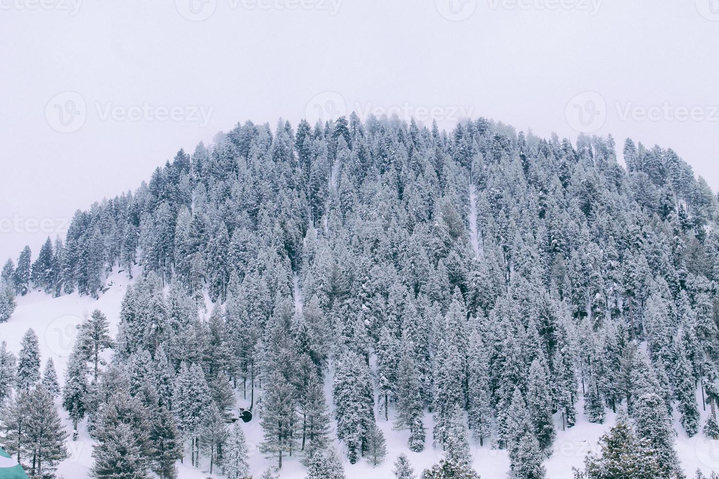 Malam Jabba and Kalam Swat Scenery Landscape photo