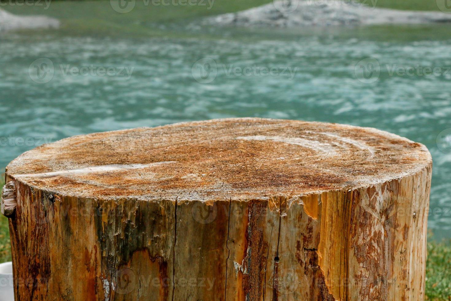 Primer plano de fondo de madera de la superficie del árbol foto