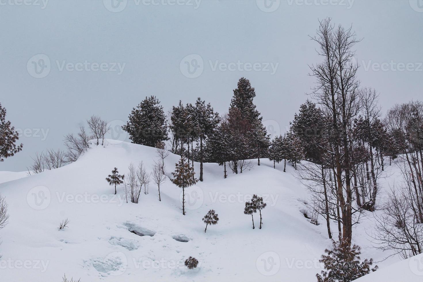 Malam Jabba and Kalam Swat Scenery Landscape photo