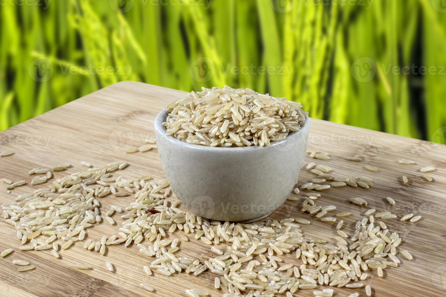 Semillas de arroz integral en un tazón de vidrio aislado en la mesa de madera en Brasil, con fondo de campo de arroz borrosa foto