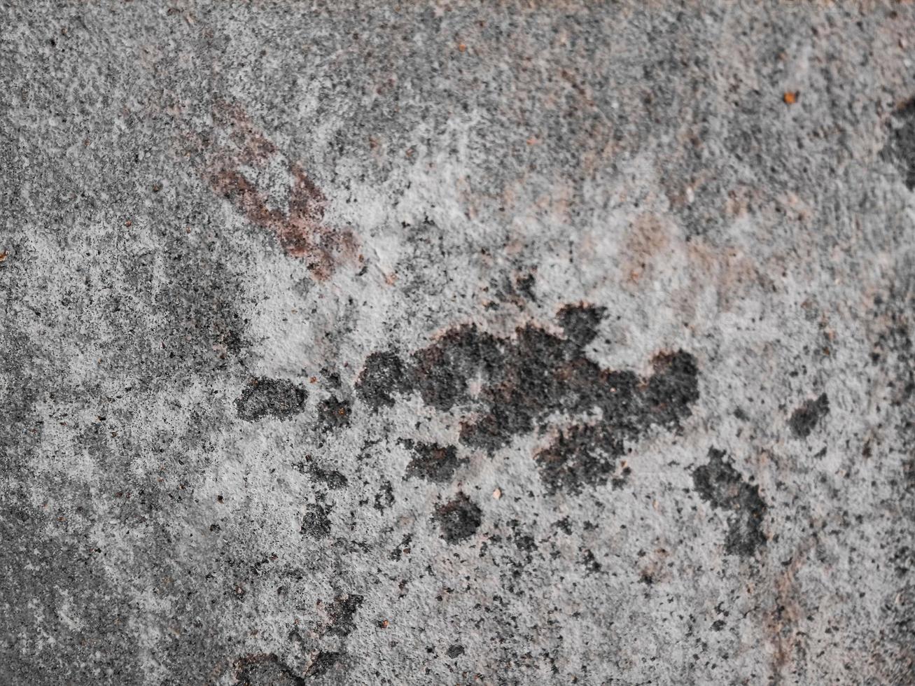 Abstract Grunge Concrete Wall Texture Background photo