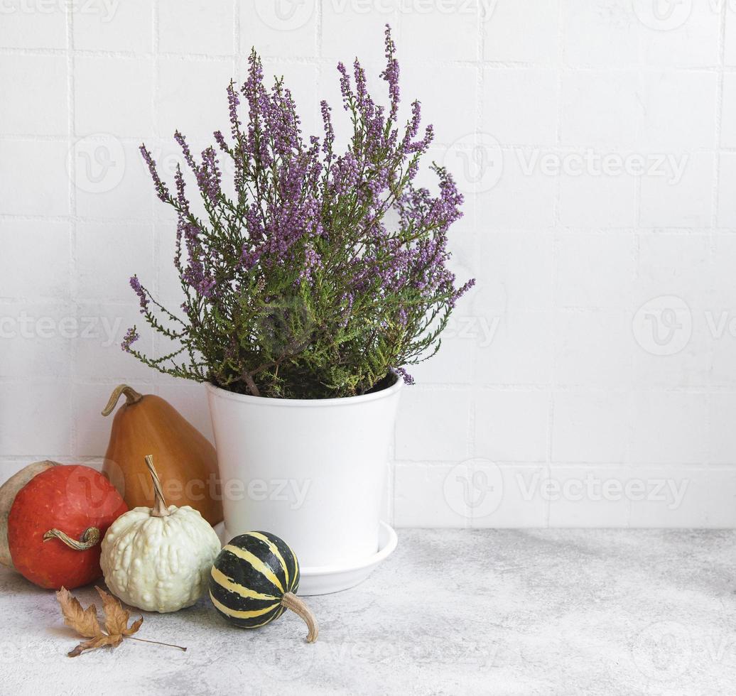 composición creativa del día de acción de gracias de otoño otoño con calabazas naranjas decorativas foto