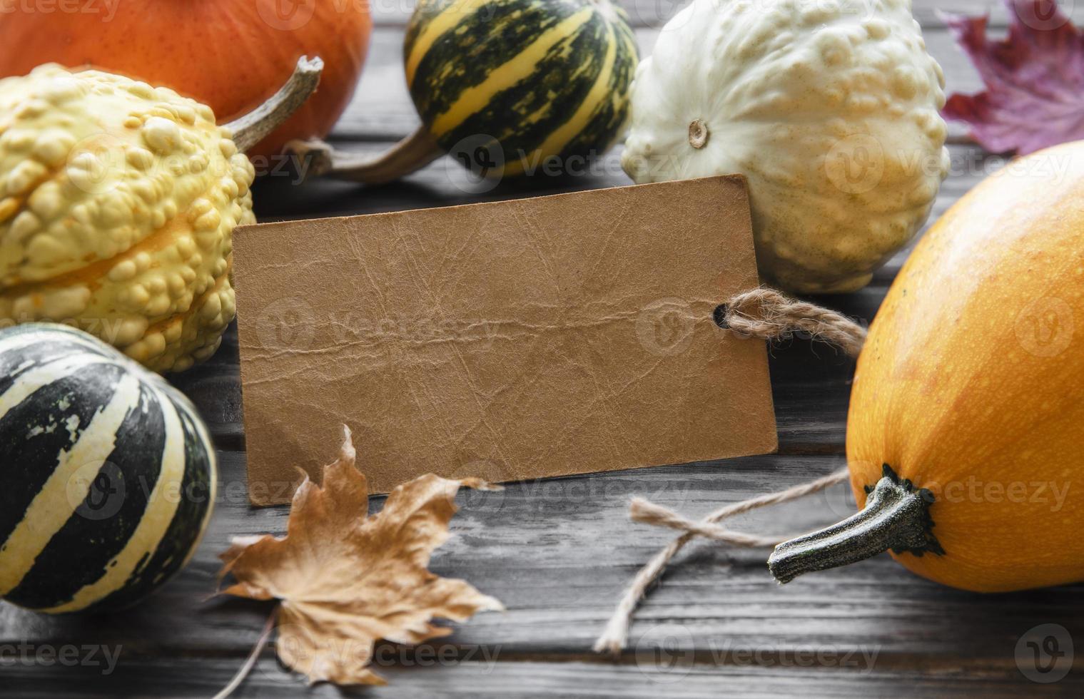 Autumn composition,  cozy fall season,  pumpkins and leaves photo