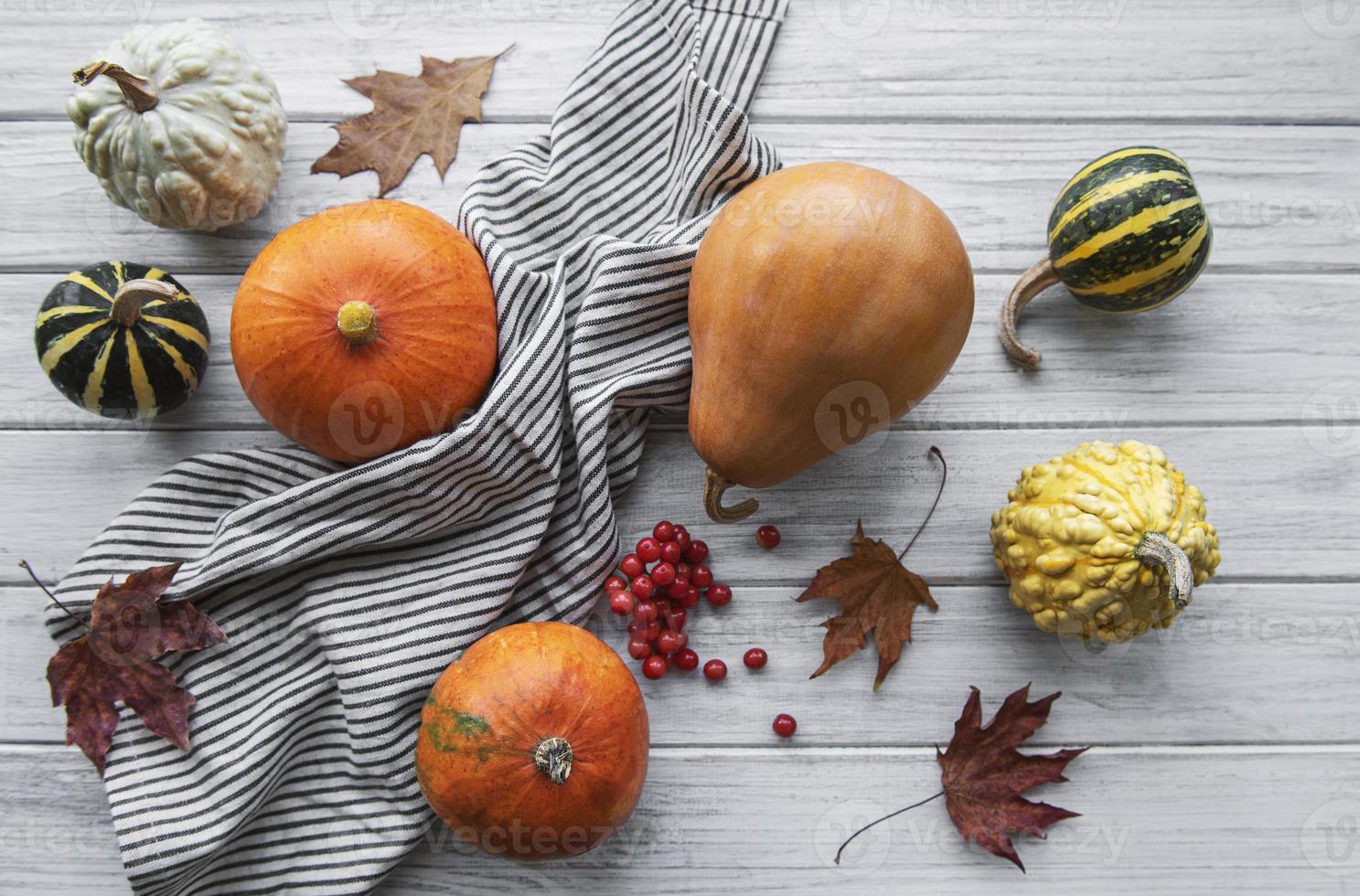 Autumn composition,  cozy fall season,  pumpkins and leaves photo