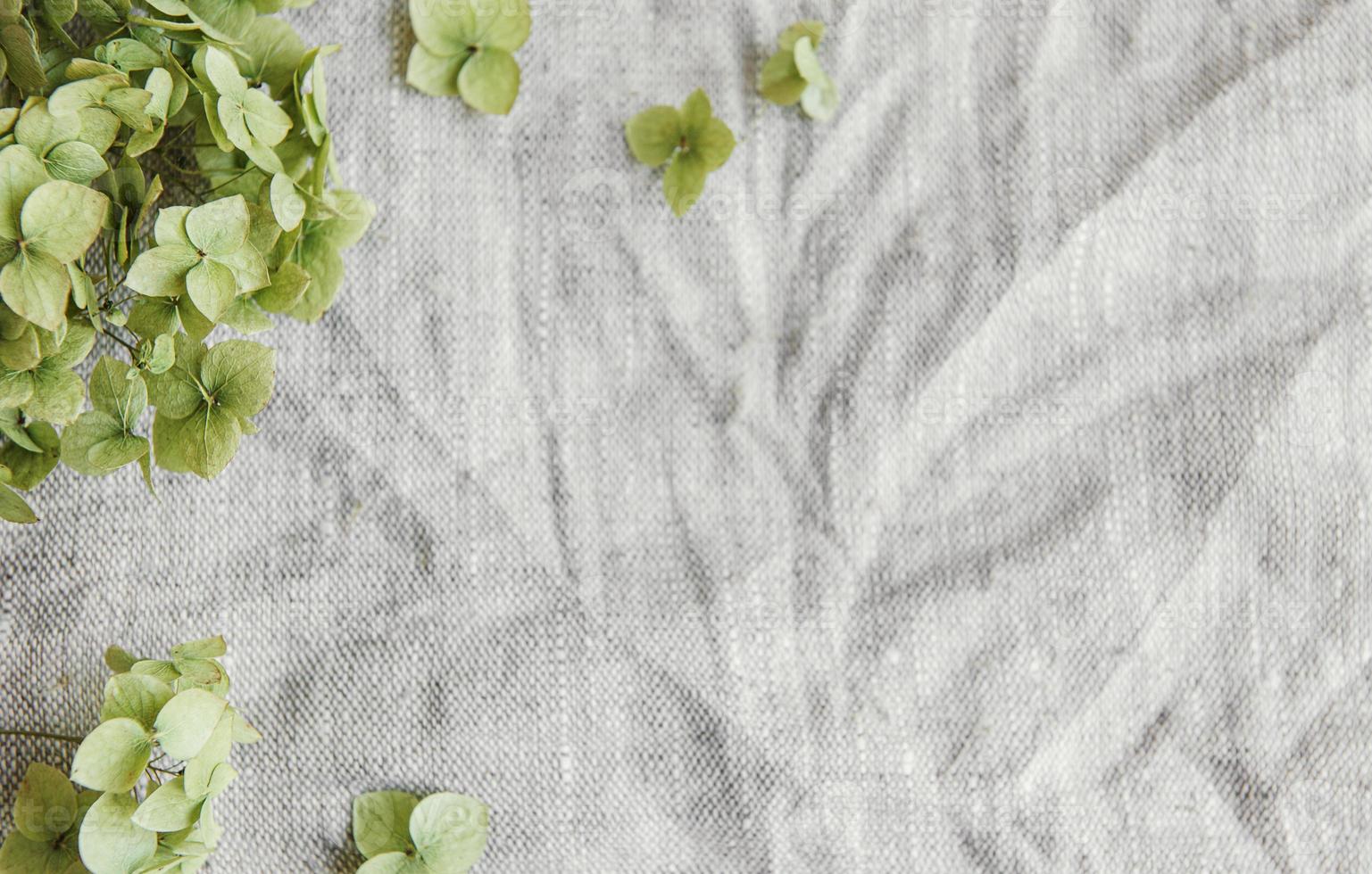 Flatlay of green hydrangea on gray textile background photo