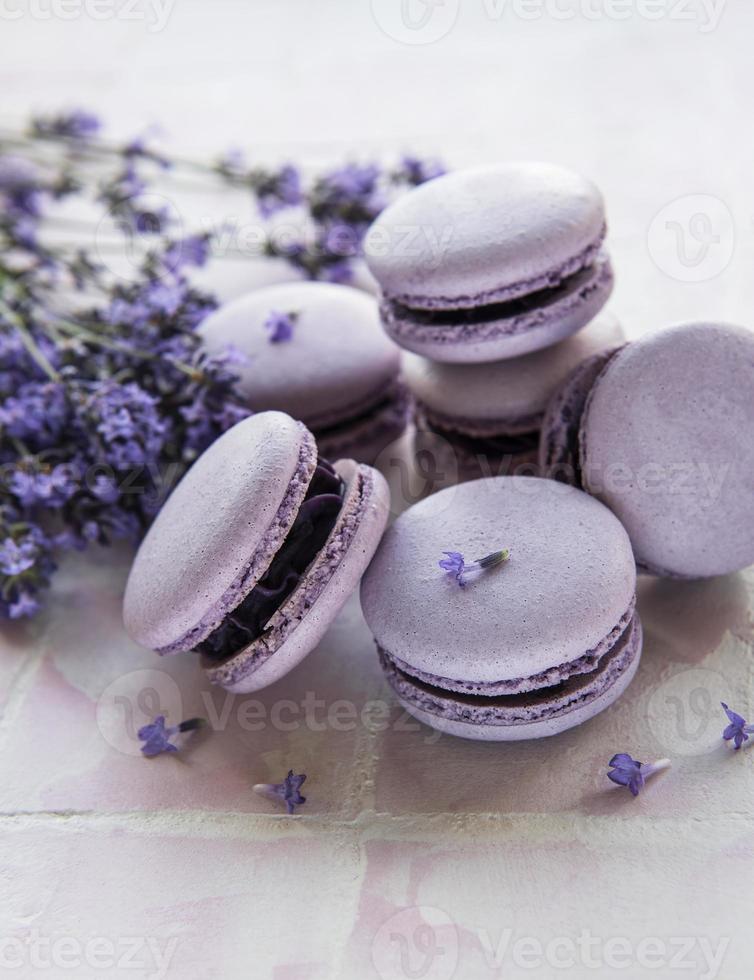 French macarons with lavender flavor and fresh lavender flowers photo