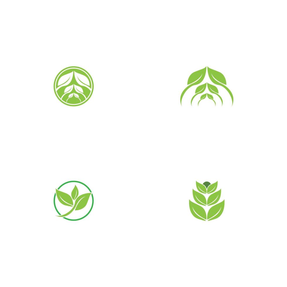 Logos of green Tree leaf ecology vector