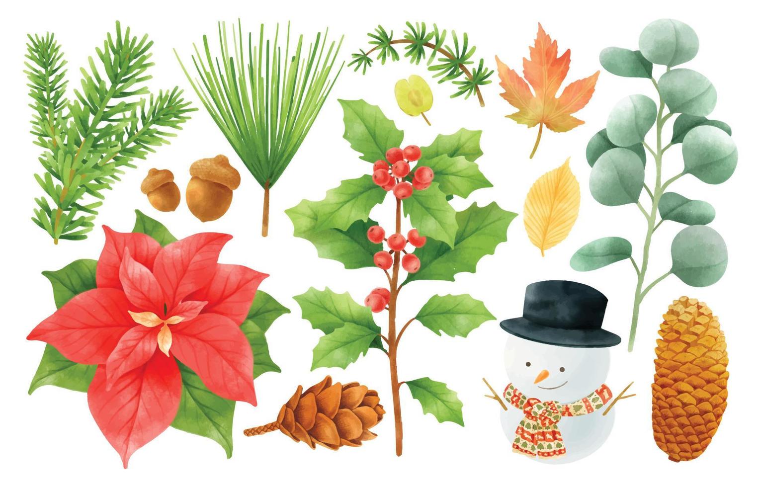 plantas de navidad elementos de decoración ilustraciones estilos de acuarela vector