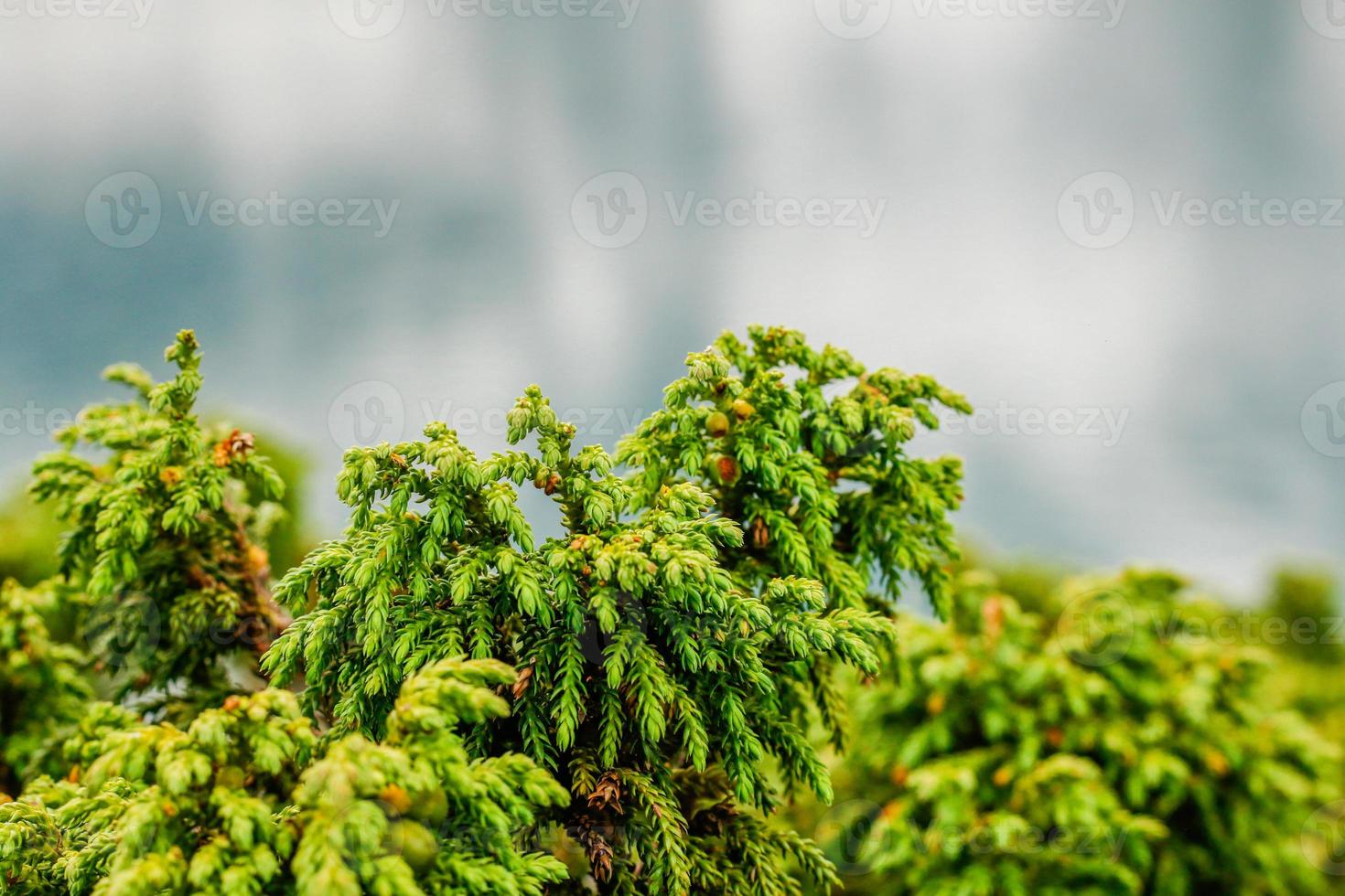 Kumrat Valley Beautiful Landscape Mountains View photo