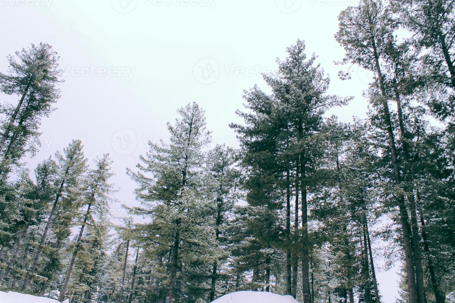 Malam Jabba and Kalam Swat Scenery Landscape photo